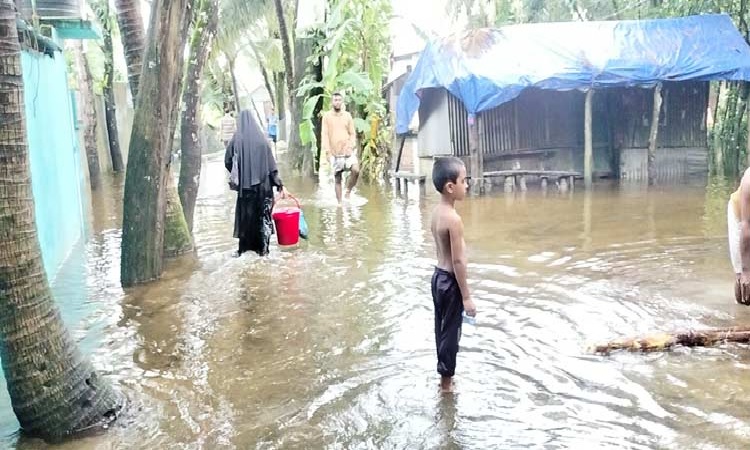 লক্ষ্মীপুরে বন্যা পরিস্থিতির অবনতি, তীব্র খাদ্য সংকট