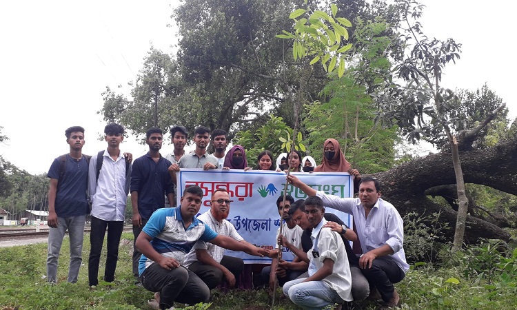হাকিমপুরে বৃক্ষরোপণ কর্মসূচির উদ্বোধন