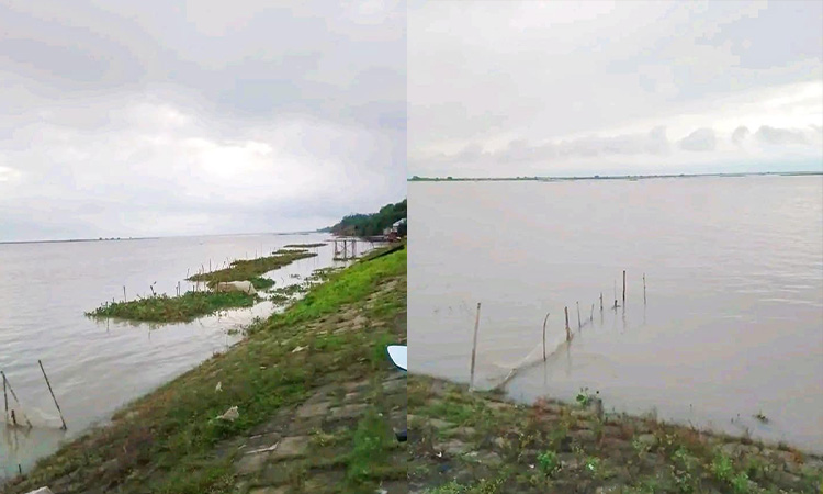 ফারাক্কার গেট খুলে দেওয়ায় বন্যা আতঙ্কে দৌলতপুরের চরবাসী