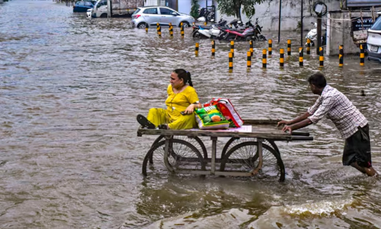বন্যায় ভারতের গুজরাটে অন্তত ২৮ জনের প্রাণহানি
