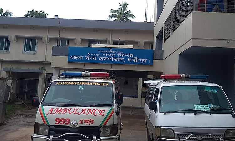 লক্ষ্মীপুরে সাপের কামড়ে হাসপাতালে ১১২ জন