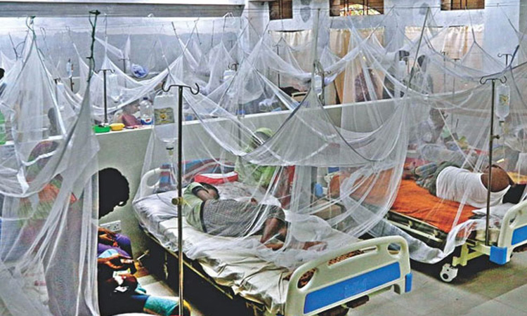 ডেঙ্গুতে ১ জনের মৃত্যু, হাসপাতালে ভর্তি ২৮৯