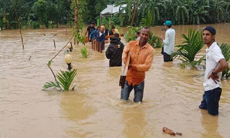 চলমান বন্যায় মৃত্যু বেড়ে ৭১: দুর্যোগ মন্ত্রণালয়