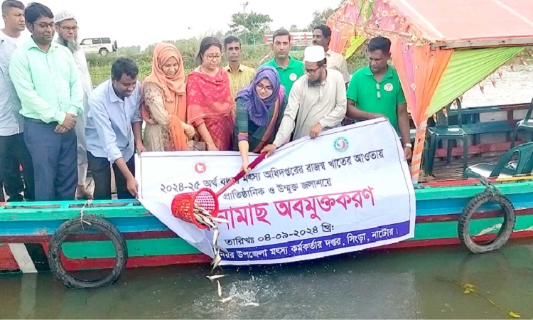 চলনবিলে পোনা মাছ অবমুক্ত করণ