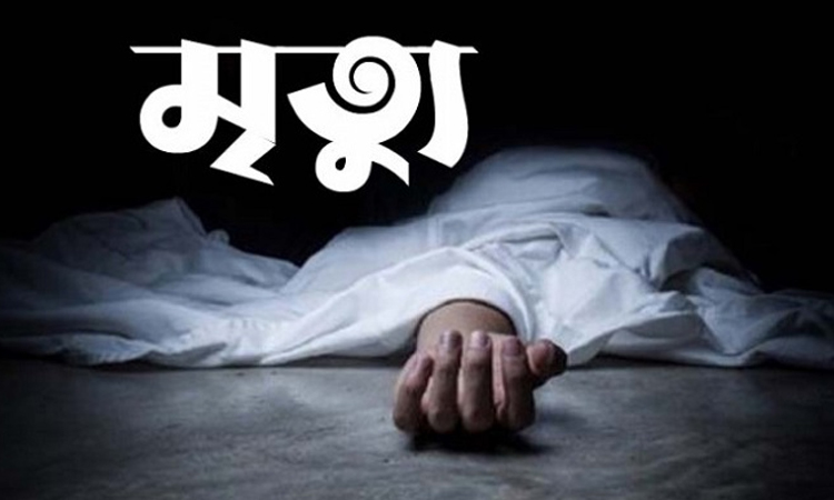 দৌলতপুরে পৃথক ঘটনায় ২ জনের মৃত্যু