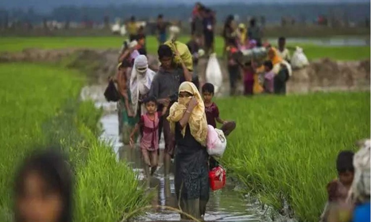 দুইদিন পালিয়ে এলো ৭০০ রোহিঙ্গা, অনুপ্রবেশের অপেক্ষায় আরো ৪০ হাজার