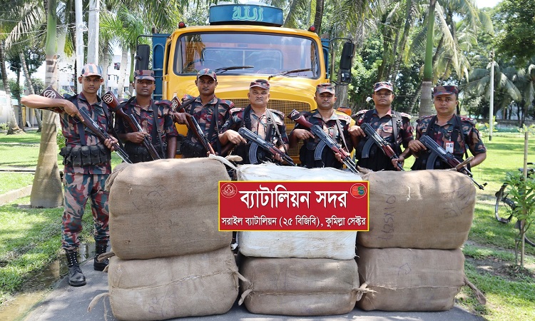 সাড়ে ৪ কোটির অধিক মূল্যের ভারতীয় শাড়িসহ ট্রাক আটক
