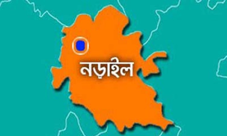 নড়াইলে সাবেক ওসিসহ ৩৪ জনের বিরুদ্ধে মামলা, পিবিআইকে তদন্তের নির্দেশ