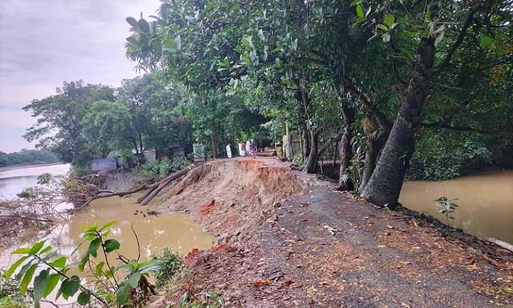 ফেনীতে নদী ভাঙনে বিলীন হচ্ছে বসতভিটা-রাস্তাঘাট