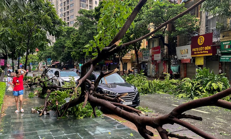 ইয়াগির তাণ্ডবে ভিয়েতনামে মৃত্যু বেড়ে ১৪২, নিখোঁজ ৫৯