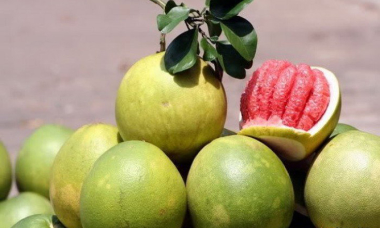 তারুণ্য ধরে রাখতে খেতে পারেন জাম্বুরা