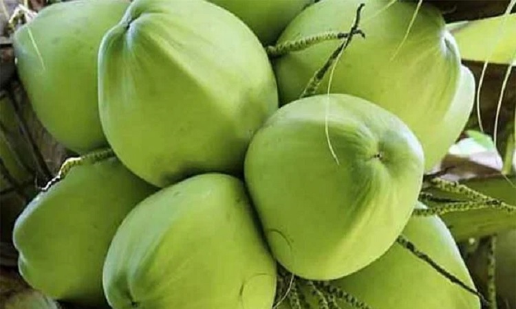 ডাবের পানি খাওয়া যাবে না কখন?
