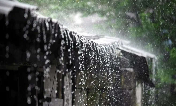 সাগরে নিম্নচাপ, ভারী বৃষ্টির আভাস