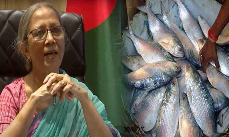 আমরাও দুর্গোৎসব করি, ভারতে ইলিশ পাঠাতে পারব না: মৎস্য উপদেষ্টা
