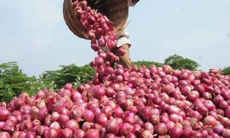 পেঁয়াজ রফতানির শর্ত শিথিল করলো ভারত