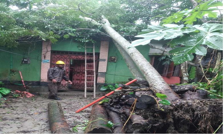 কুষ্টিয়ায় রেকর্ড বৃষ্টিপাত ও বিদ্যুৎহীন ১২ ঘণ্টা, জনদুর্ভোগ চরমে