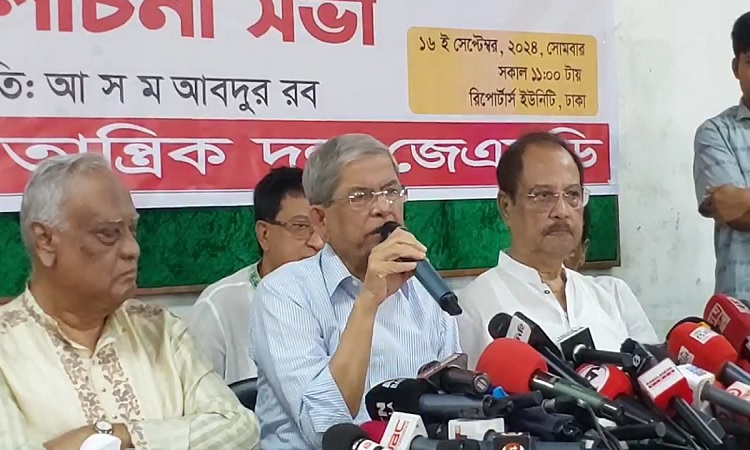 ‘সব সংস্কার কাজ অন্তর্বর্তী সরকার করলে তো জনগণ ও সংসদের দরকার নেই‘