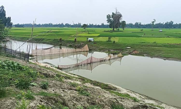 চিলমারীতে পাউবোর জায়গায় প্রভাবশালীদের মৎস্য চাষের অভিযোগ