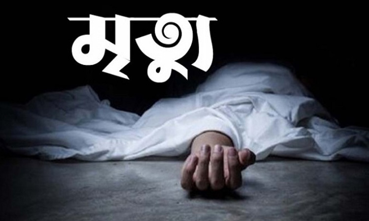 মালিবাগে রেললাইন পারাপারের সময় ট্রেনের ধাক্কায় নারীর মৃত্যু