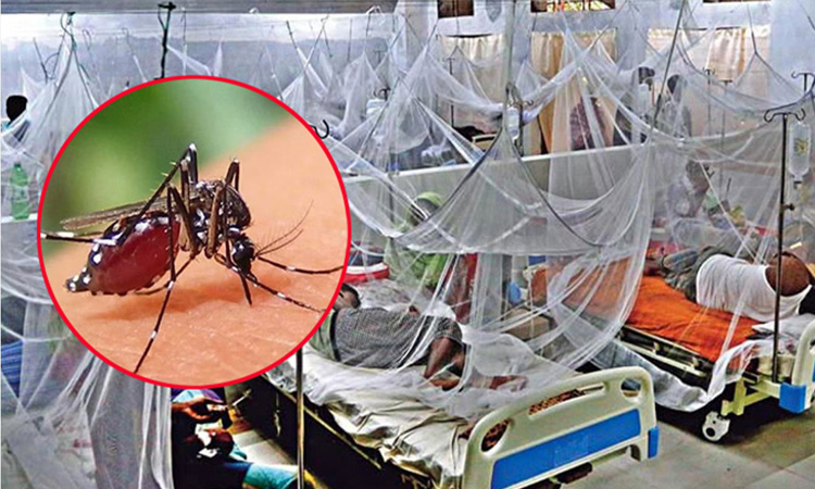 ২৪ ঘণ্টায় আরও ৮৪৩ ডেঙ্গু রোগী শনাক্ত, মৃত্যু ১