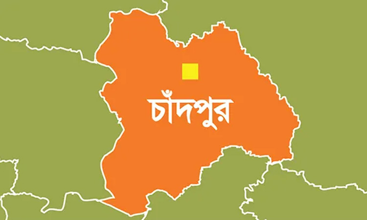 চাঁদপুরে ছেলের ইটের আঘাতে মায়ের মৃত্যু