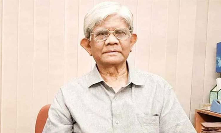 ভারতে ৩ হাজার টন ইলিশ রপ্তানিতে তেমন কিছু যায় আসে না: অর্থ উপদেষ্টা