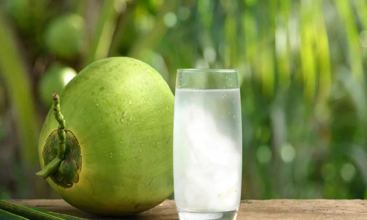 গরমে ডাবের পানি কতটা জরুরি?