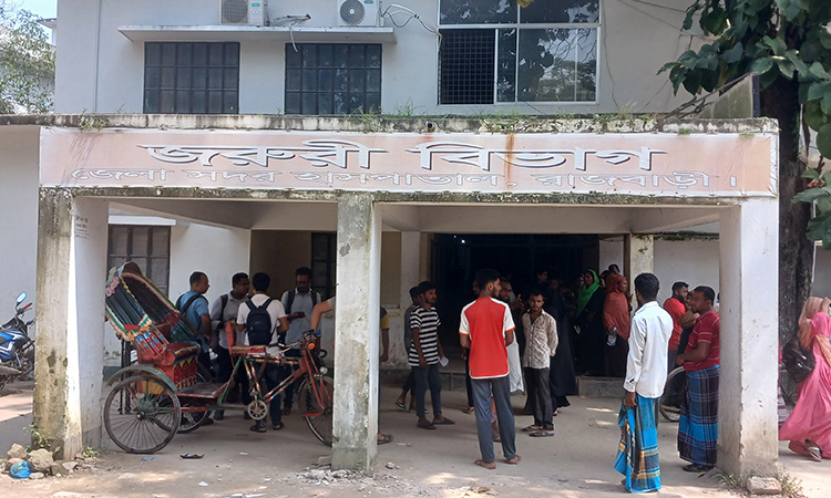 রাজবাড়ীতে পারিবারিক কলহে গৃহবধূ খুন, স্বামী আটক