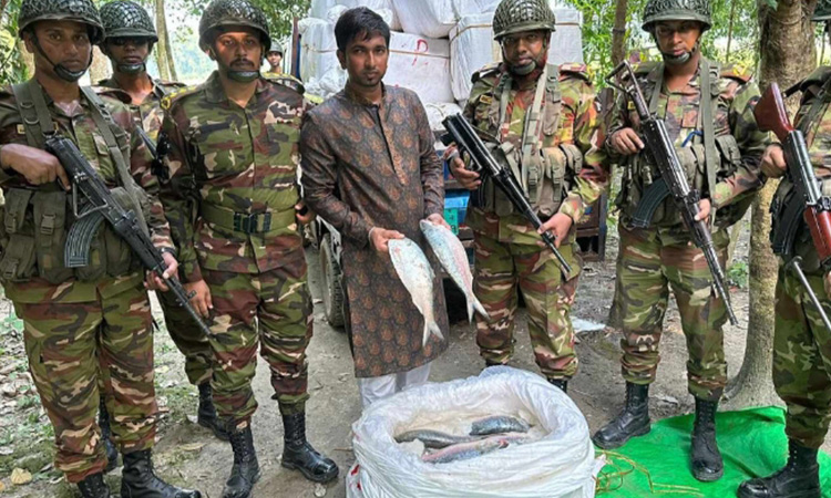 ভারতে পাচারকালে ১০৫০ কেজি ইলিশসহ আটক ১