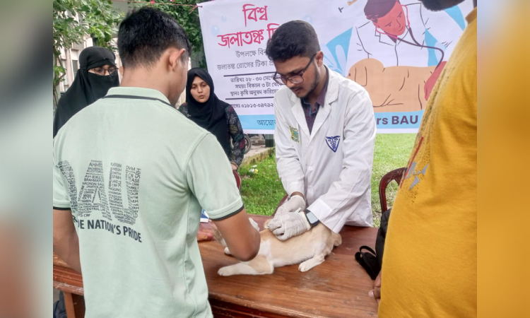 বাকৃবিতে তিন দিনব্যাপী র‍্যাবিস রোগের টিকা প্রদান
