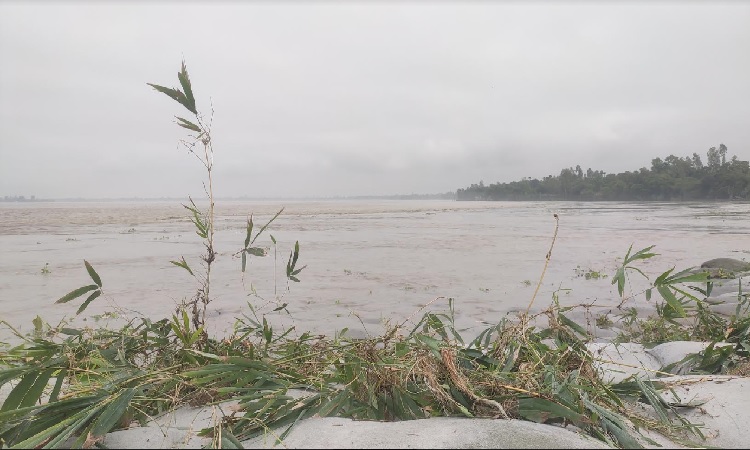কুড়িগ্রামে তিস্তা নদীর পানি কমলেও দেখা দিয়েছে ভাঙন