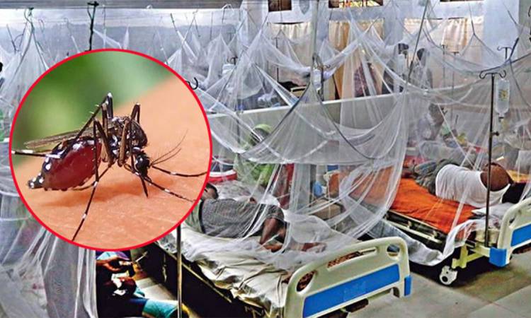 ডেঙ্গুতে আরও ৫ জনের মৃত্যু, হাসপাতালে ভর্তি ১১৫২