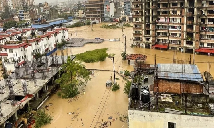নতুন আইন প্রণয়নের দাবি নিসচার