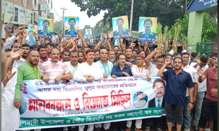 বোয়ালমারীতে নব্য বিএনপির অত্যাচারে বিক্ষোভ ও প্রতিবাদ