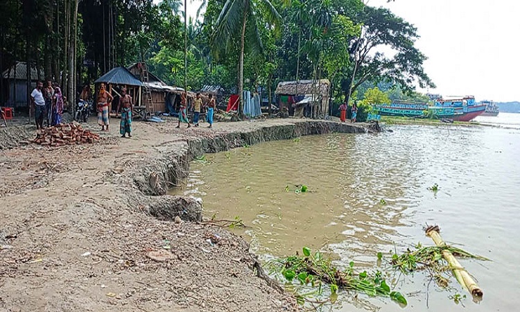 কালিয়ায় নবগঙ্গা নদী ভাঙনে ৩০ বাড়ি নদী গর্ভে