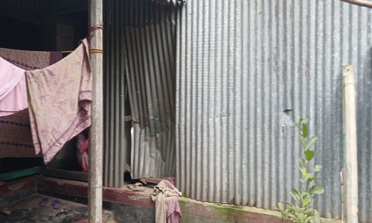 প্রবাসীর বাড়িতে হামলা, অভিযোগ করে বিপাকে স্ত্রী