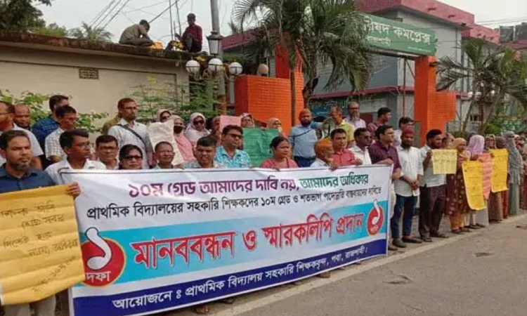 পবায় দশম গ্রেডের দাবীতে সহকারী শিক্ষকদের মানববন্ধন