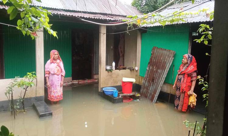 শেরপুরে টানা বর্ষণ ও পাহাড়ি ঢলে শতাধিক গ্রাম প্লাবিত