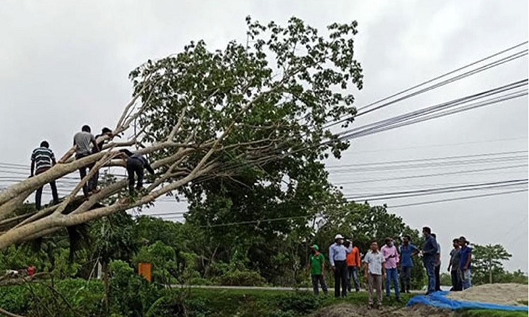 ফেনীতে বিদ্যুতের ছেঁড়া তারে জড়িয়ে ২ শিশুর মৃত্যু