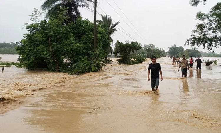 শেরপুর-ময়মনসিংহে তলিয়ে গেছে ১৬৩ গ্রাম