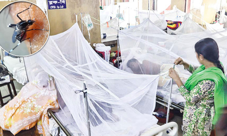 ডেঙ্গুতে আরও ৫ জনের মৃত্যু, হাসপাতালে ভর্তি ৯২৭
