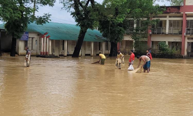 শেরপুরে বন্যা; ২৪২ প্রাথমিক বিদ্যালয় বন্ধ