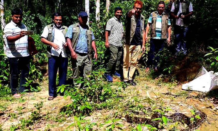 লামায় দুইটি অজগর উদ্ধার, অবমুক্ত হলো বনাঞ্চলে
