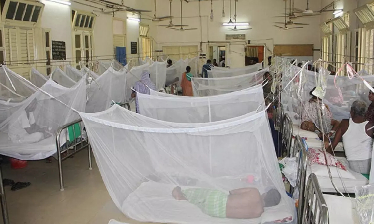 ডেঙ্গুতে আরও দুইজনের মৃত্যু, হাসপাতালে ভর্তি ১২১৮