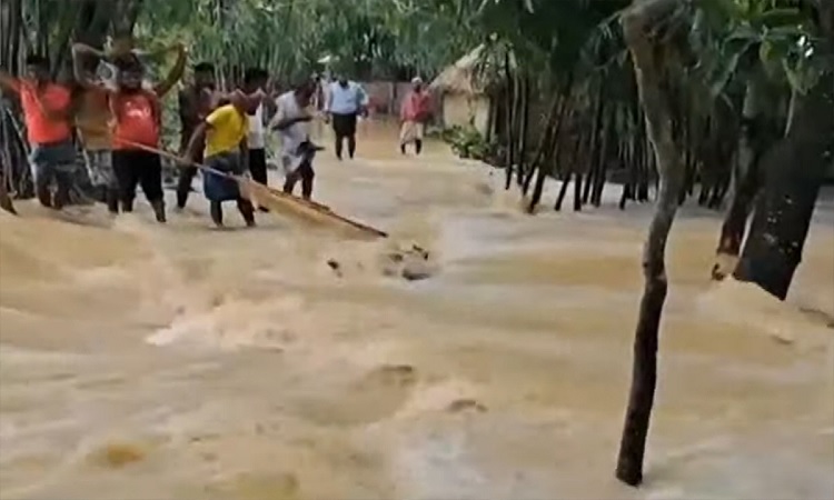 নেত্রকোণায় বন্যা পরিস্থিতির অবনতি, শেরপুরে নিহত বেড়ে ৯