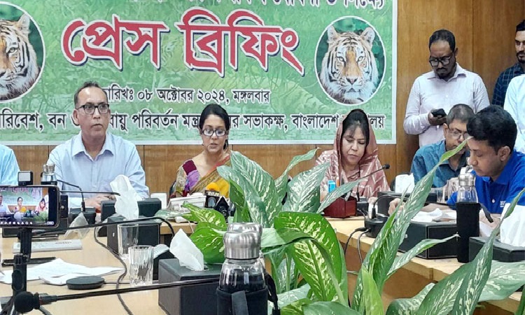 সুন্দরবনের বাঘ বেড়েছে ১১টি