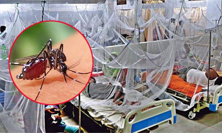 ডেঙ্গুতে আরও ৫ জনের মৃত্যু, হাসপাতালে ভর্তি ৯৮১