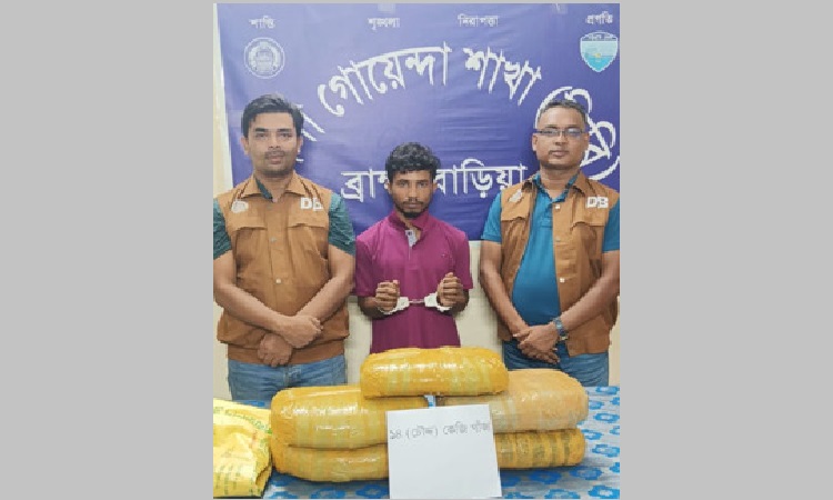১৪ কেজি গাঁজাসহ গ্রেফতার ১