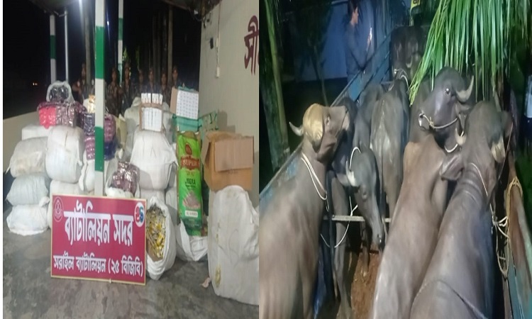 ব্রাহ্মণবাড়িয়ায় ভারতীয় মহিষসহ ৪ কোটি টাকার চোরাই পণ্য জব্দ