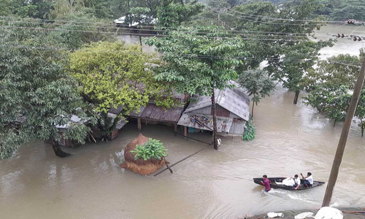 তিন জেলায় ১০ মৃত্যু, শেরপুরেই ৮ জন